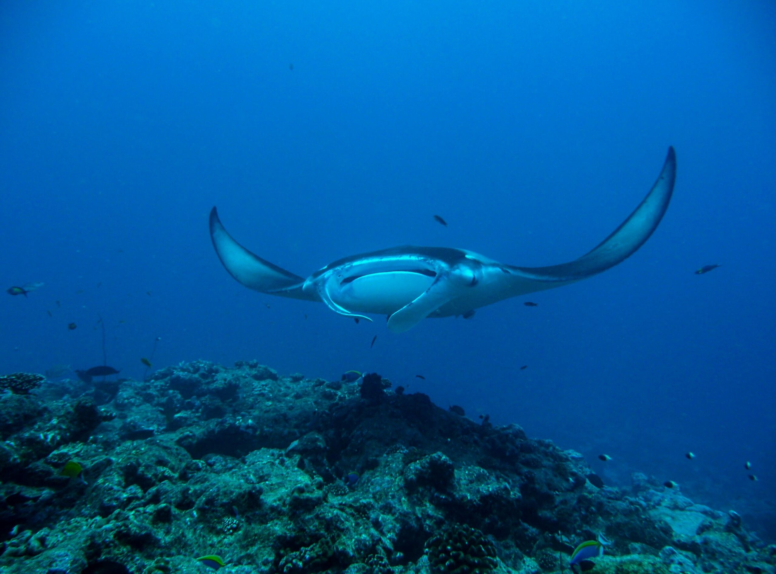 Milaidhoo - Maledivy
