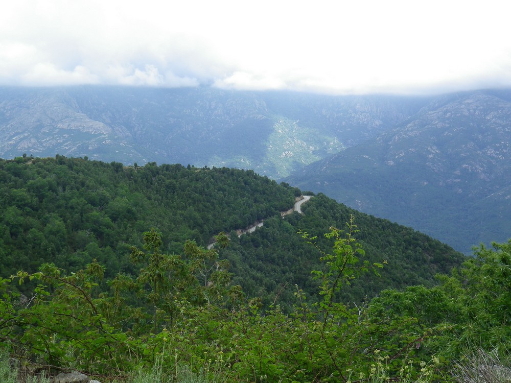 Corsica