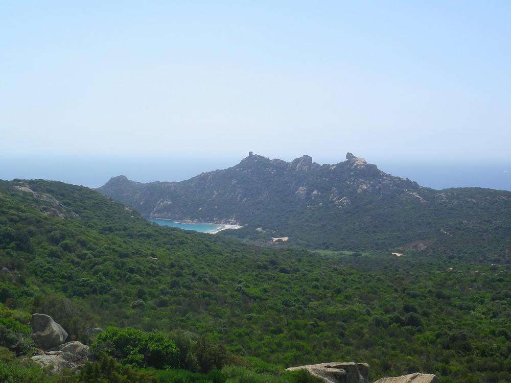 Corsica
