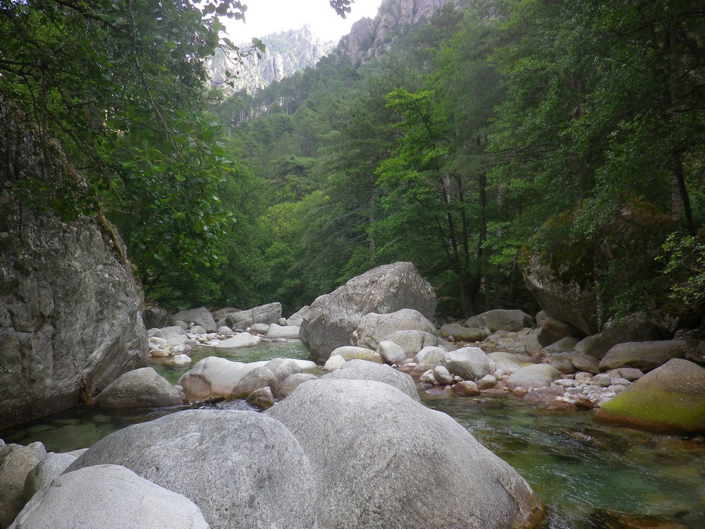 Restonica